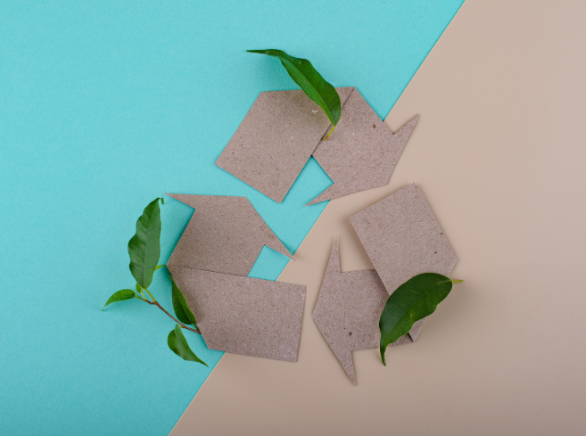 Eco-Friendly Packaging and Its Impact on the Supply Chain